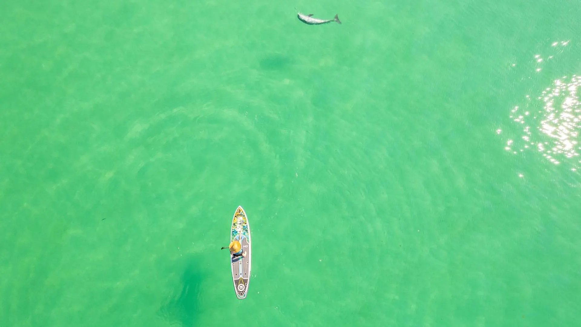 Apartment Sandpiper Cove 2119- By Holiday Isle Properties Destin
